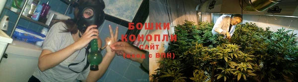 крисы Богородицк