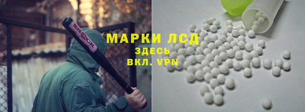крисы Богородицк