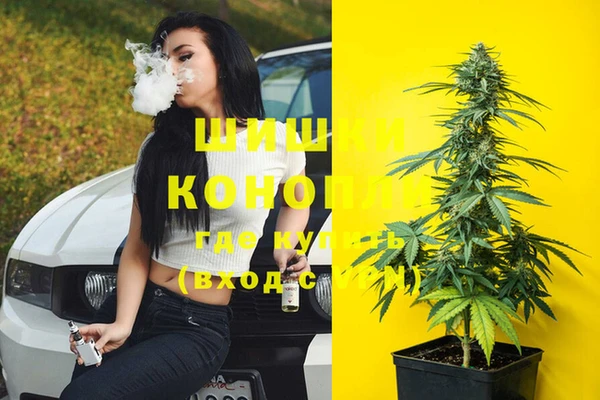 крисы Богородицк