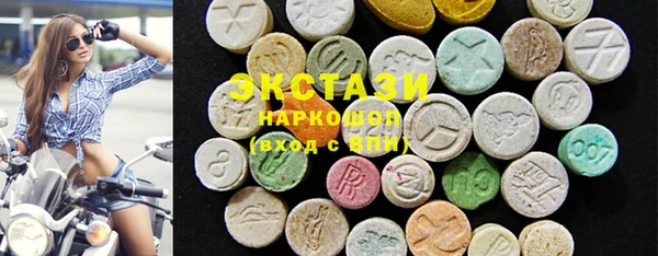 крисы Богородицк