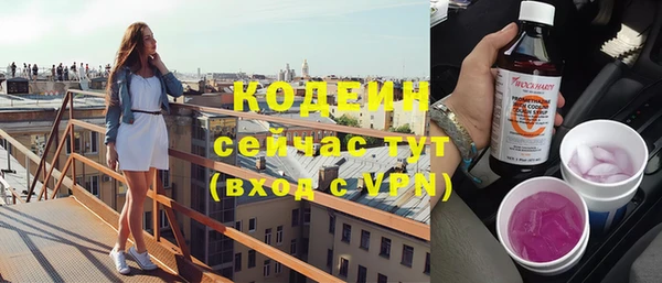 крисы Богородицк