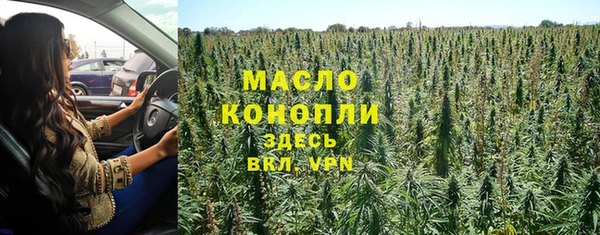 крисы Богородицк