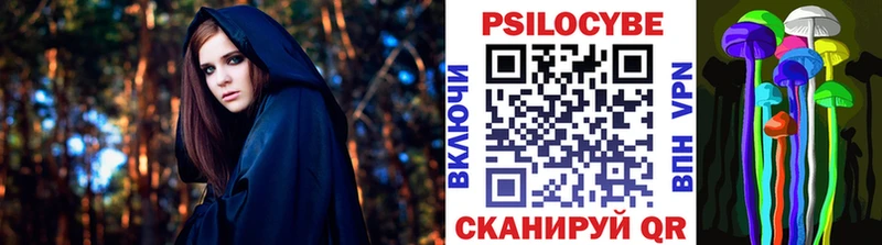 Псилоцибиновые грибы прущие грибы  гидра сайт  Дальнегорск 