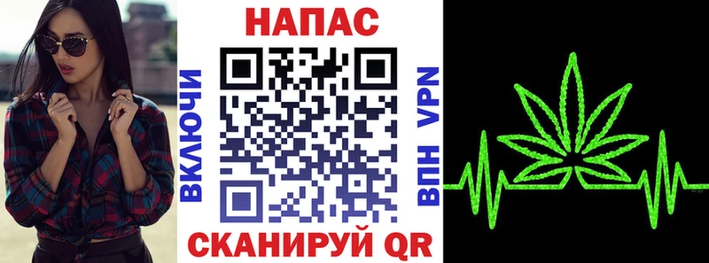 Бошки марихуана план  где можно купить   Дальнегорск 